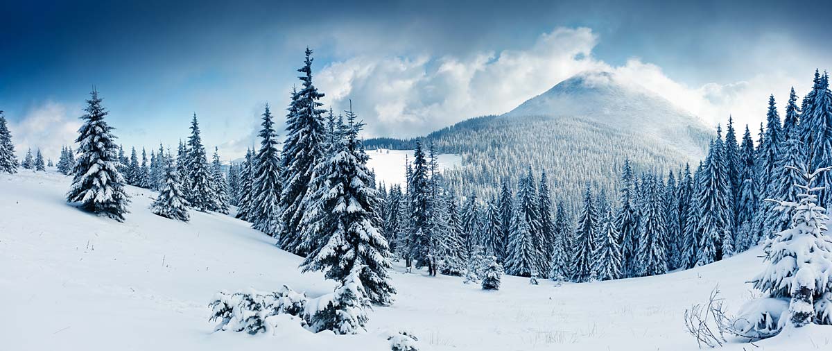Winterregion Bayerischer Wald