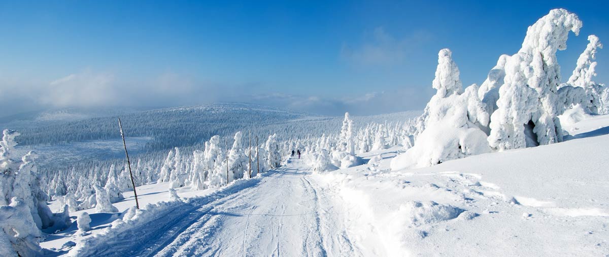 Skiurlaub im Bayerischen Wald